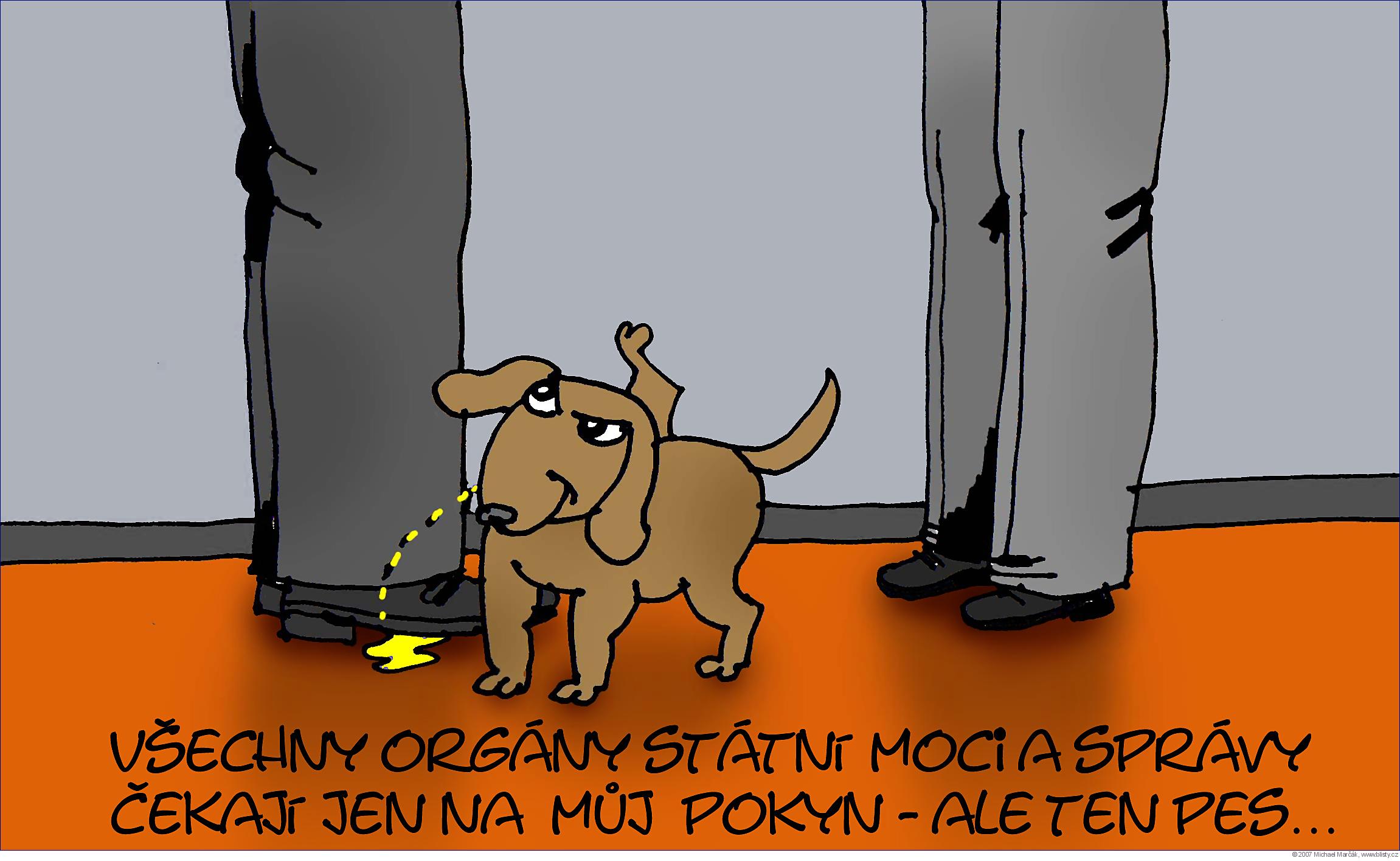 Michael Marčák: Všechny orgány státní moci a správy čekají jen na můj pokyn - ale ten pes...