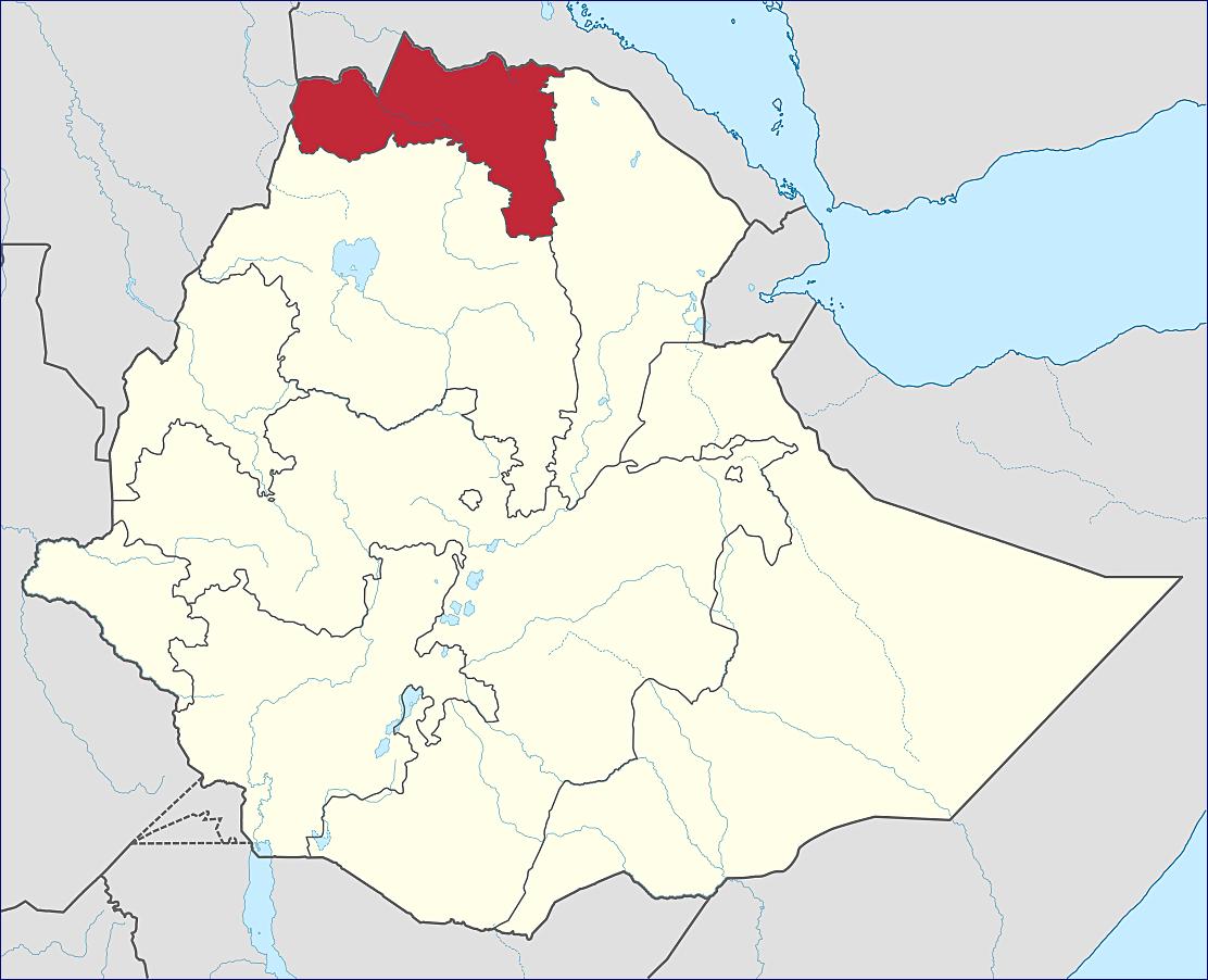 Etiopie: Tigrayští povstalci obsadili hlavní město svého státu