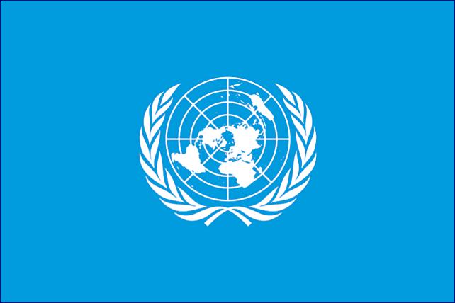 OSN prošetřuje obvinění, že její zpravodajka pro Palestinu brala finanční prostředky od lobbistických skupin podporujících Hamás