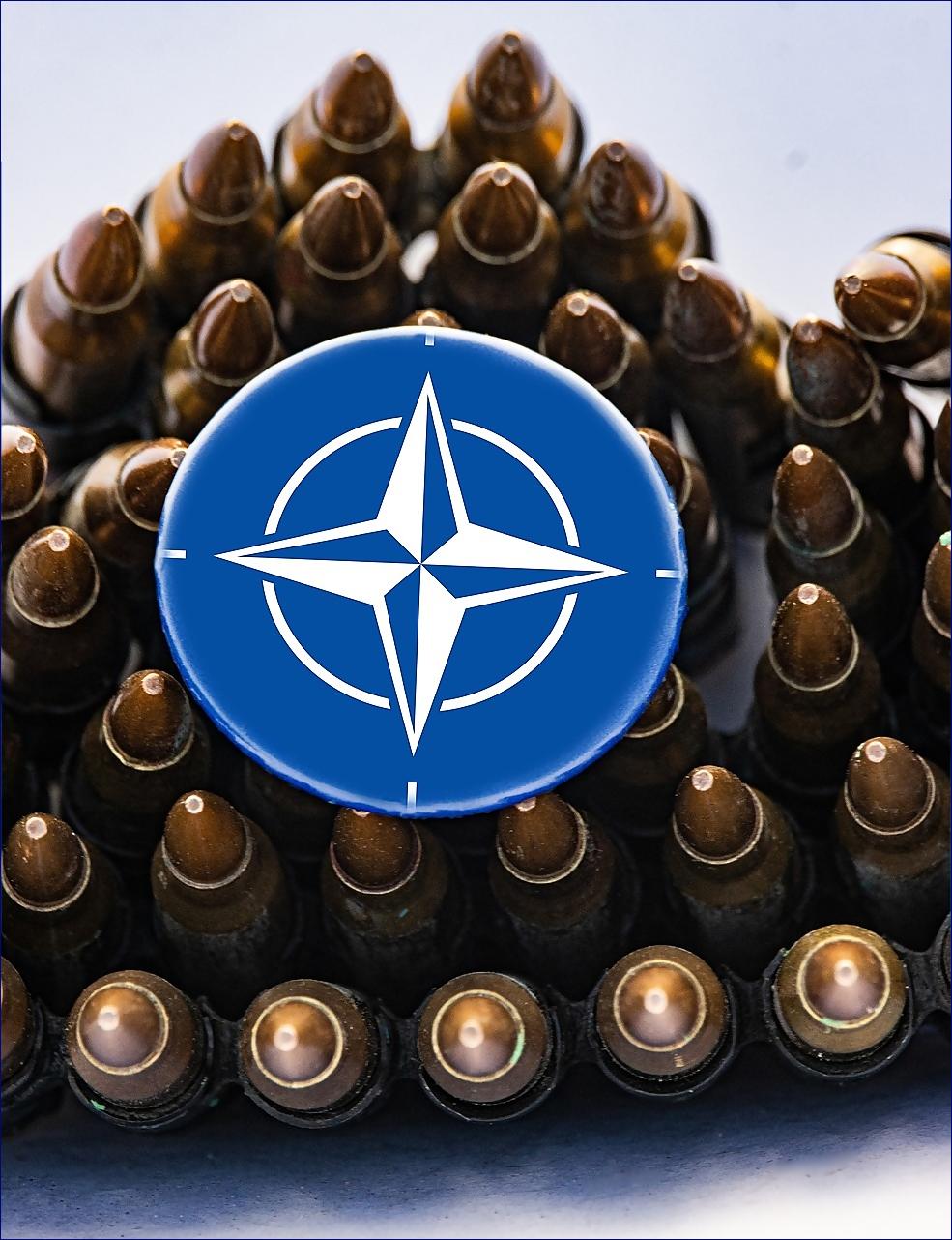 Vícero zemí dosáhne cíle NATO ve výši 2 % výdajů na obranu