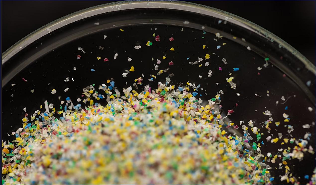 Ve všech lidských varlatech byly nalezeny mikroplasty