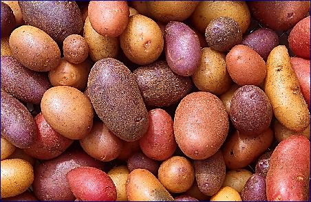 25621