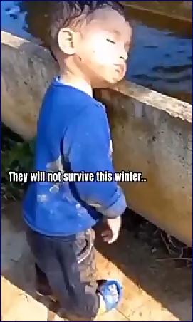 29577
