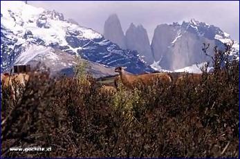 Věže Torres del Paine (http://www.gochile.cl/)